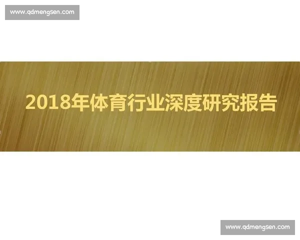全面解析体育团队赛季表现与关键胜负因素的深度报告