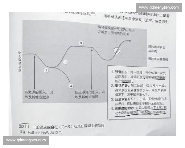 科学系统提升运动表现的体育训练方法与实践探索